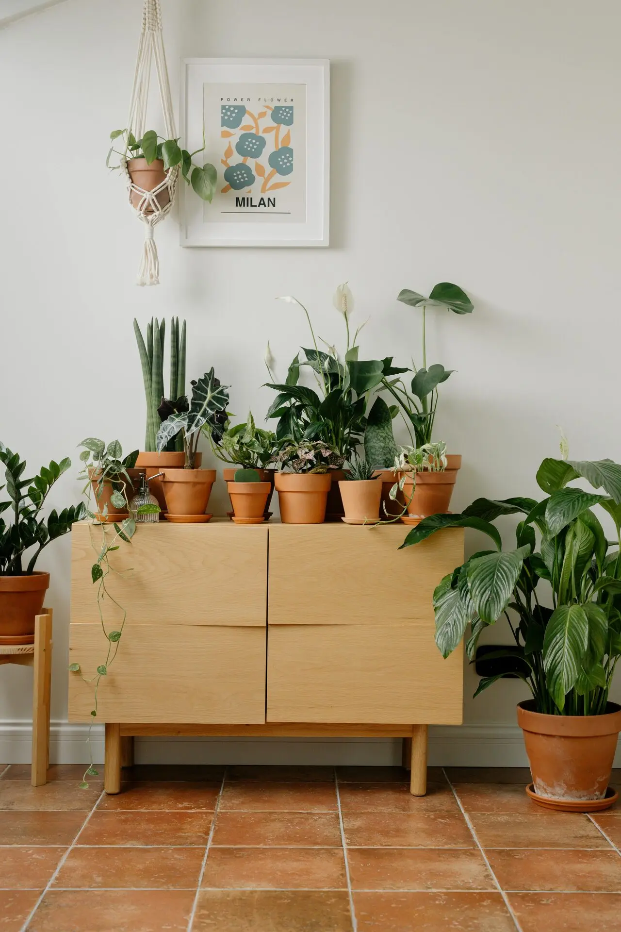 Plant styling